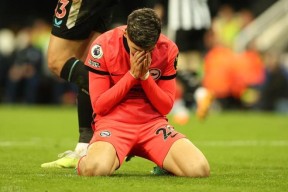 欧宝体育官网登录-风云突变打一准确生肖