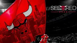 赛后芝加哥公牛备战CBA季后赛，迎来里程碑细节曝光，震撼外界，球探报告显示潜力